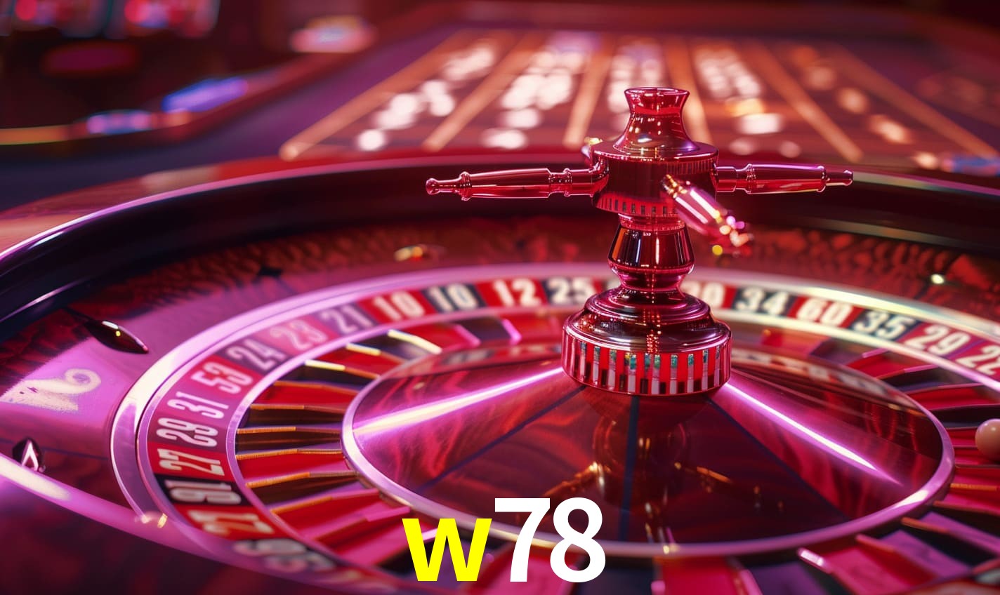 Programa VIP w78